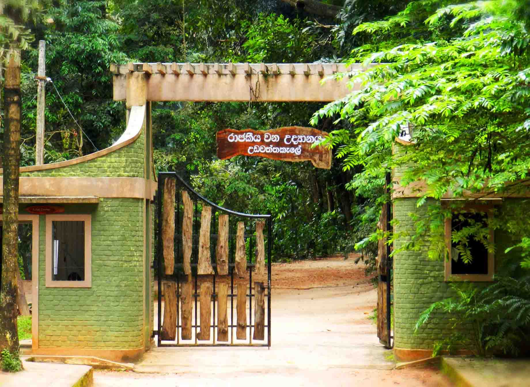 Udawattakele-Sanctuary